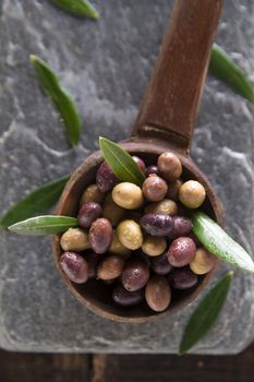 Aperitif with mixed olives in brine of Tuscany Italy