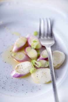 Presentation of pieces of red onion of Tropea on a plate