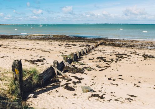 Noirmoutier island landscape in Vendée France