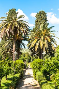 the park in sassari city in a sunny day of spring