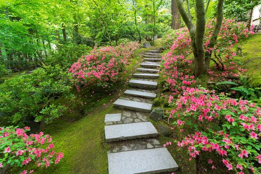 Azaleas in bloom along granite stone stair steps at Japanese Garden in Spring