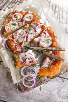 Freshly baked pizza with red onion and mozzarella 