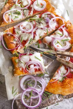 Freshly baked pizza with red onion and mozzarella 