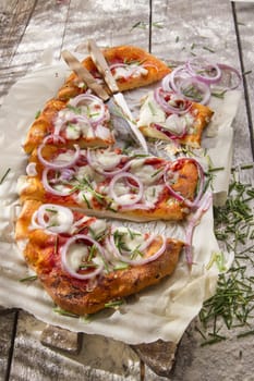 Freshly baked pizza with red onion and mozzarella 