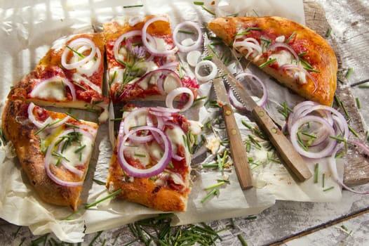 Freshly baked pizza with red onion and mozzarella 