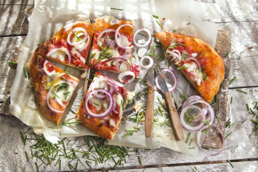 Freshly baked pizza with red onion and mozzarella 