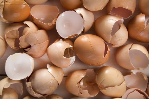 Series of broken shells of chicken eggs on white wood table