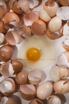 Series of broken shells of chicken eggs on white wood table