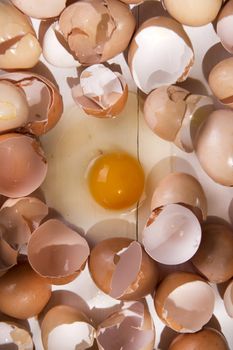 Series of broken shells of chicken eggs on white wood table