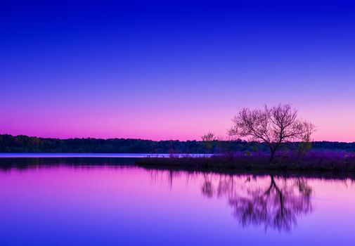 A lonely tree reflecting on a pool of water