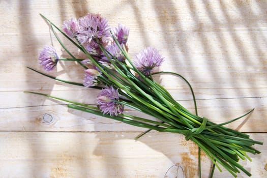 Time for creative cooking herbs, chives in bloom