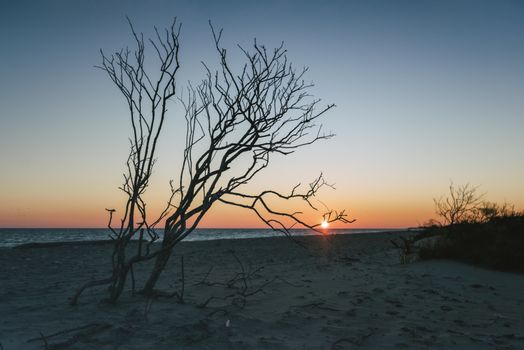 Seascape in Rhode Island, USA