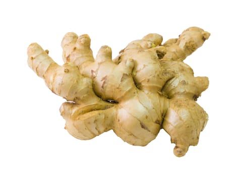 Fresh Ginger isolated on white background close up