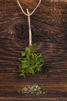 Fresh mint herb hanging on rustic wooden background and dried mint. Culinary aromatic herbs.