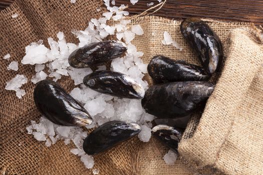 Rustic seafood background. Shells on ice on wooden table in brown burlap bag. Culinary seafood background. 