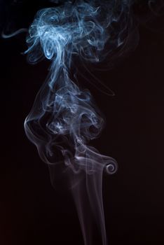 Beautiful smoke on the black background - macro photo.