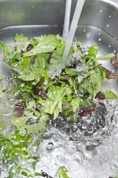 The washing salad in the kitchen sink 