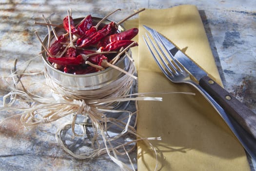 Presentation of the ingredient prince of the kitchen, dried chili 
