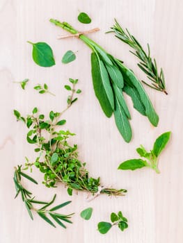Various fresh herbs from the garden holy basil , basil ,rosemary,oregano, sage and thyme over rustic wooden background.