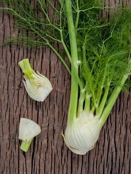 Fresh organic fennel bulbs for culinary purposes on wooden background.