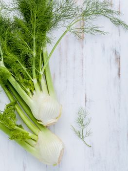 Fresh organic fennel bulbs for culinary purposes on wooden background.