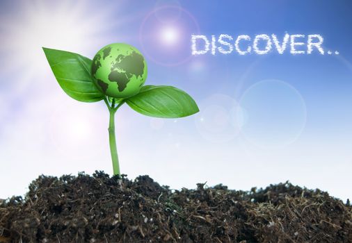 Small green earth growing from a plant seedling, a symbol of new discovery