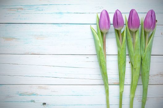 Spring tulips on wooden background with space