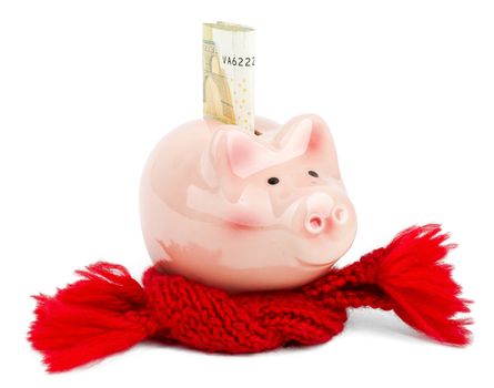 Piggy bank with red scarf and euro bill. Business concept