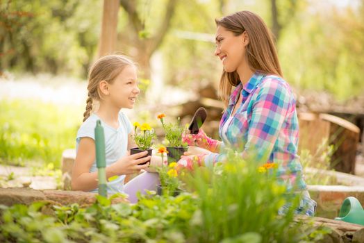 Cute little girl assisting her mother planting flowers in a backyard.