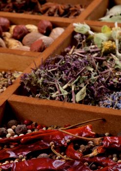Various Spices, Herbs, Nuts Dried Leafs in Sections of Wooden Box closeup. Focus on Foreground