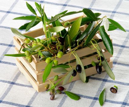 Raw Green and Black Olives with Leafs in Wooden Box closeup on Checkered Napkin background