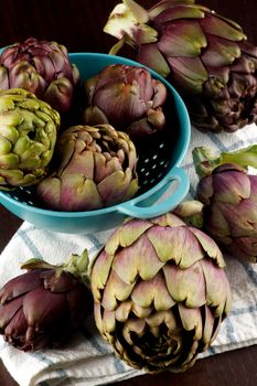 Heap of Perfect Raw Artichokes in Blue Colander on Checkered Napkin closeup on Dark Wooden background