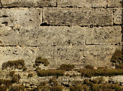 The texture of the stones in the blank stone wall that separates the park Sylvia in the Gatchina park.