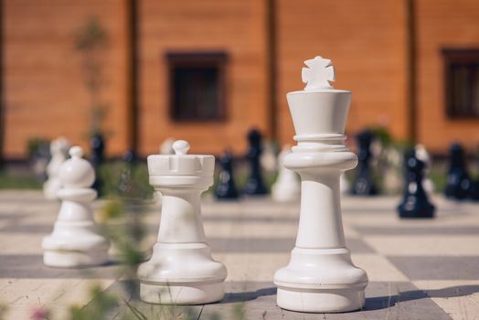 big chess on a background of wooden house and grass field.