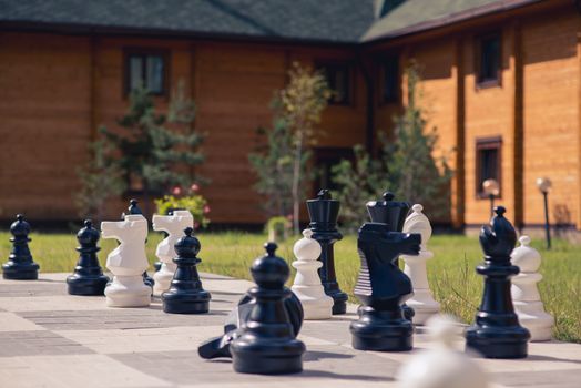 big chess on a background of wooden house and grass field.