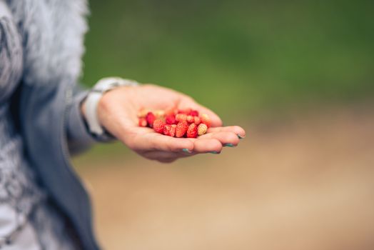 female hand holding a strawberry against blurred green background.