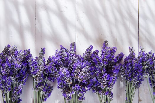 Summer presentation of lavender flower in spa area