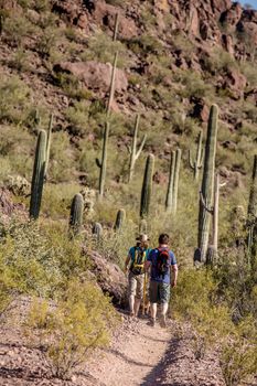 Rear view of hiking couple in the American Southwest desert region