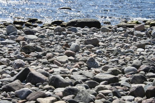 Sea rocks