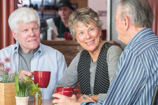 Mature trio of friends in a coffee house