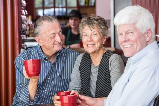 Smiling mature woman with friends in a coffee house