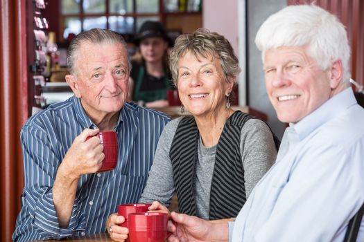 Group of three mature friends in a coffee house