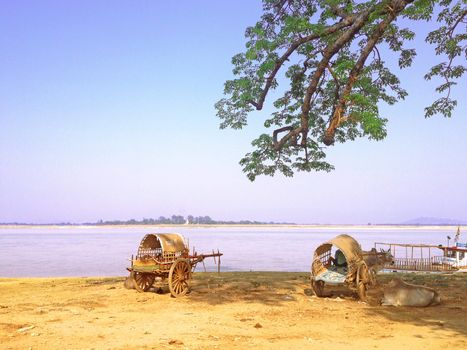 Ox cart beside Irrawaddy river in Mingun, Myanmar.