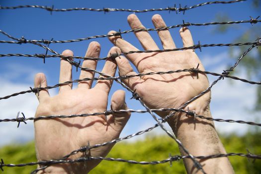 Hands gripping the barbed wire in the sign to run away with the blue sky background