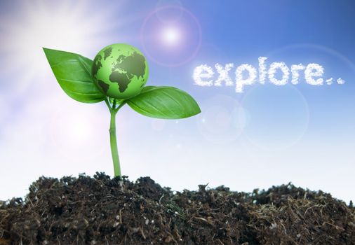 Explore word cloud next to a small green earth growing from a seedling 