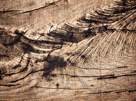abstract background or texture Detail of an old weathered oak plank