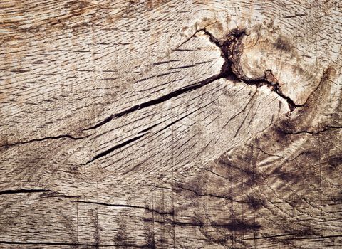 abstract background or texture Detail of an old weathered oak plank