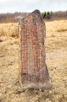 Runestone in a field