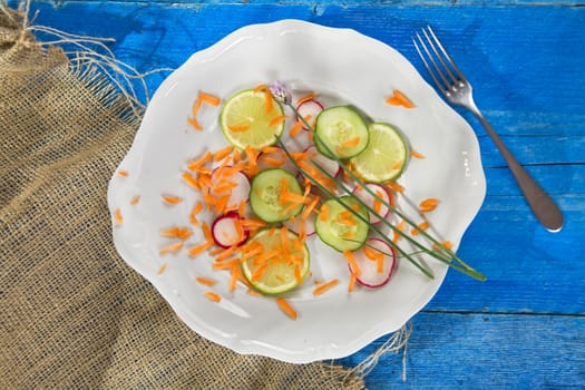 Presentation of the outline-based vegetable radish and cucumber 