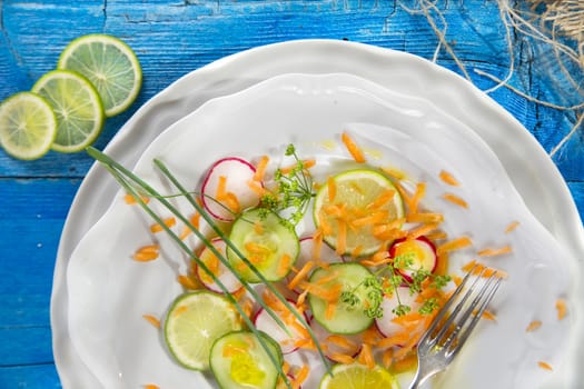 Presentation of the outline-based vegetable radish and cucumber 